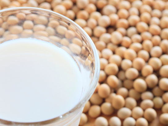 豆乳発酵液の原料