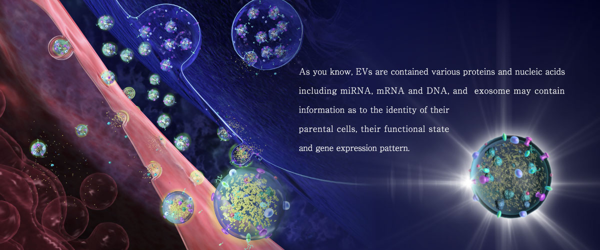 エクソソームイメージ図